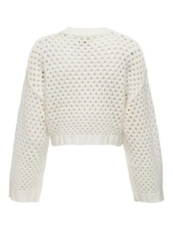 ONLY ONLSMILLA SHORT PULLOVER L/S KNT NOOS -Damenbekleidungs Geschäft 3310ab45214e65a27ca50fc9d31cf32c3829d87e 7200901275 197740 02