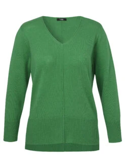 Pullover V-Ausschnitt 1/1 Arm